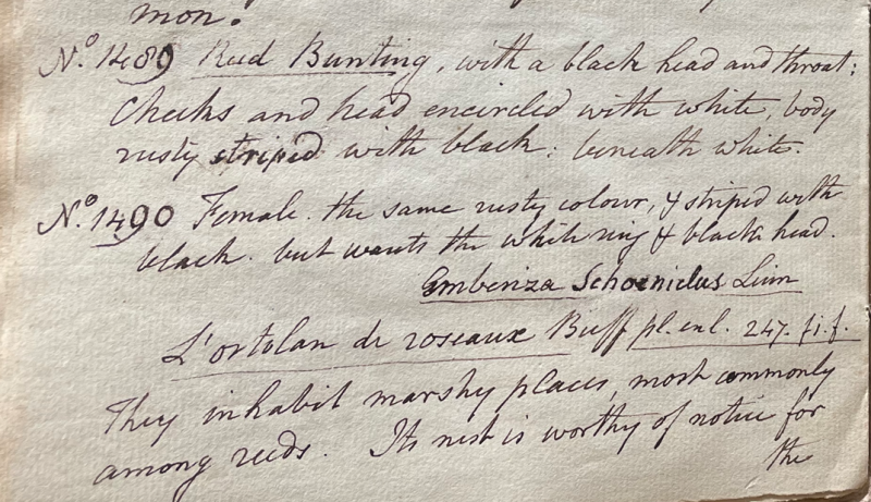 Lecture on Natural History 33