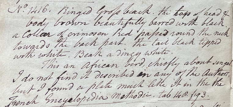 Lecture on Natural History 32