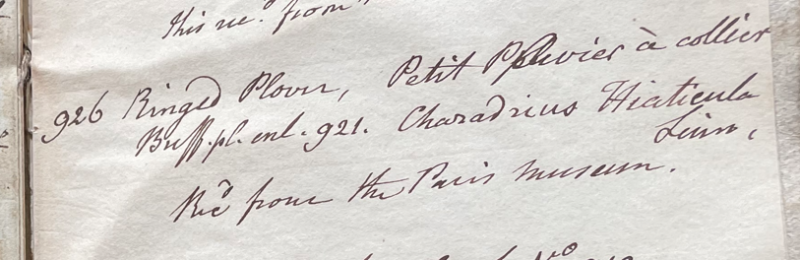 Lecture on Natural History 26