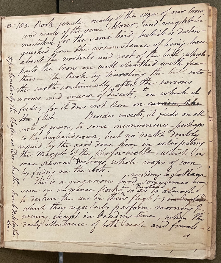 Lecture on Natural History 17