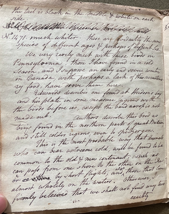 Lecture on Natural History 33