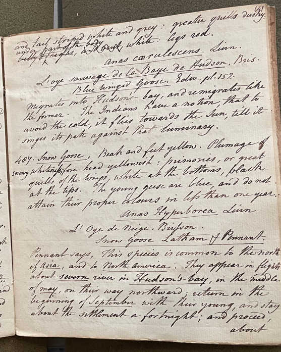 Lecture on Natural History 21