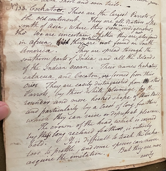 Lecture on Natural History 16