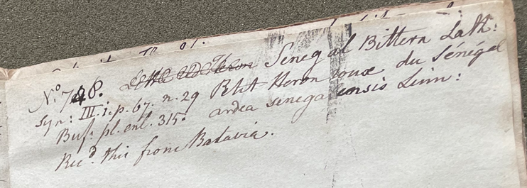 Lecture on Natural History 25