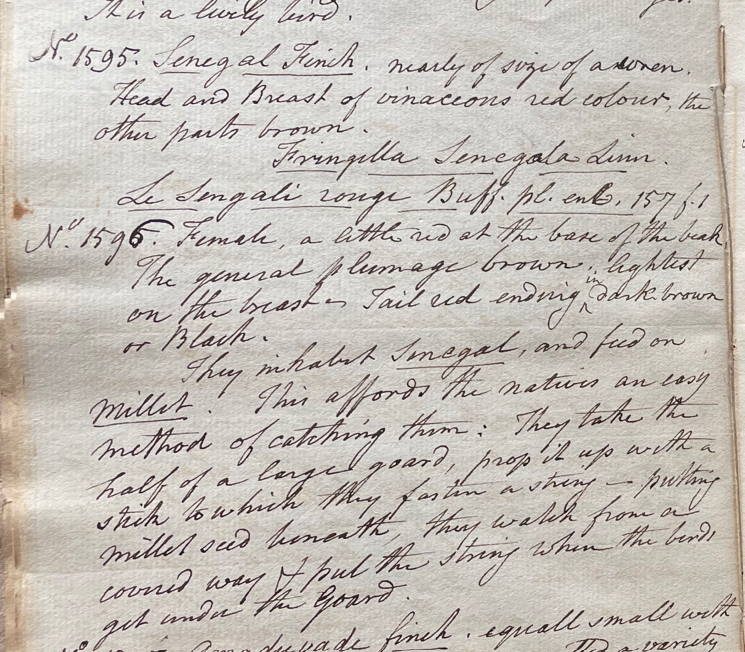 Lecture on Natural History 34