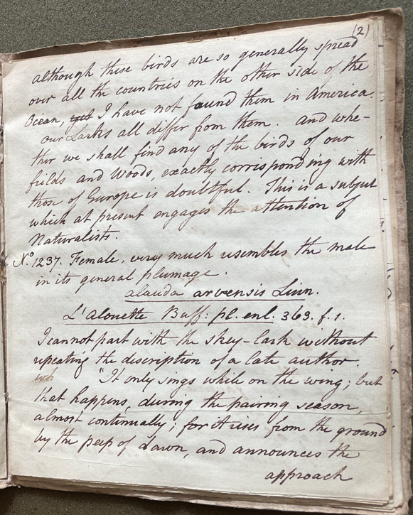 Charles Willson Peale, Lecture on Natural History 31