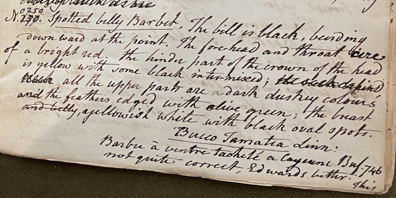 Lecture on Natural History 18