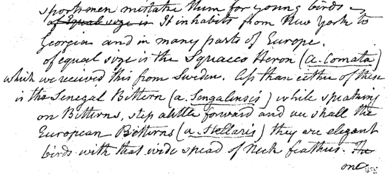 "A Walk through the Philad[elphi]a Museum"