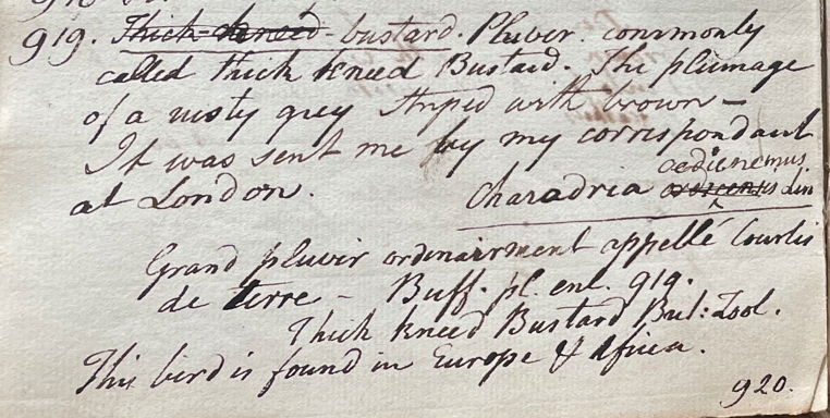 Lecture on Natural History 26