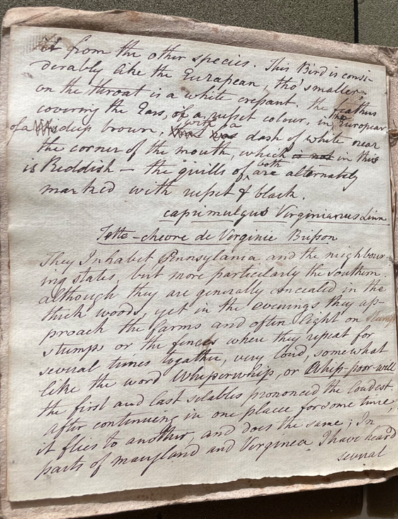 Lecture on Natural History 39