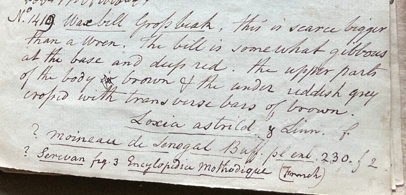 Lecture on Natural History 32