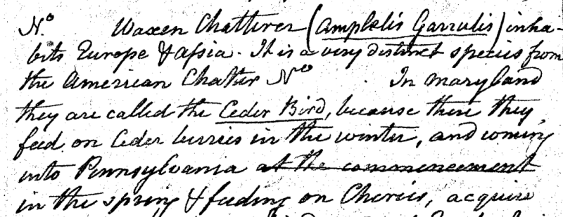 "A Walk through the Philad[elphi]a Museum"