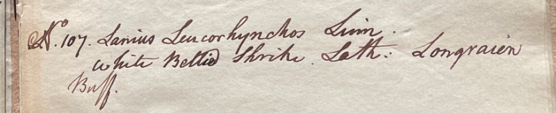 Lecture on Natural History 15