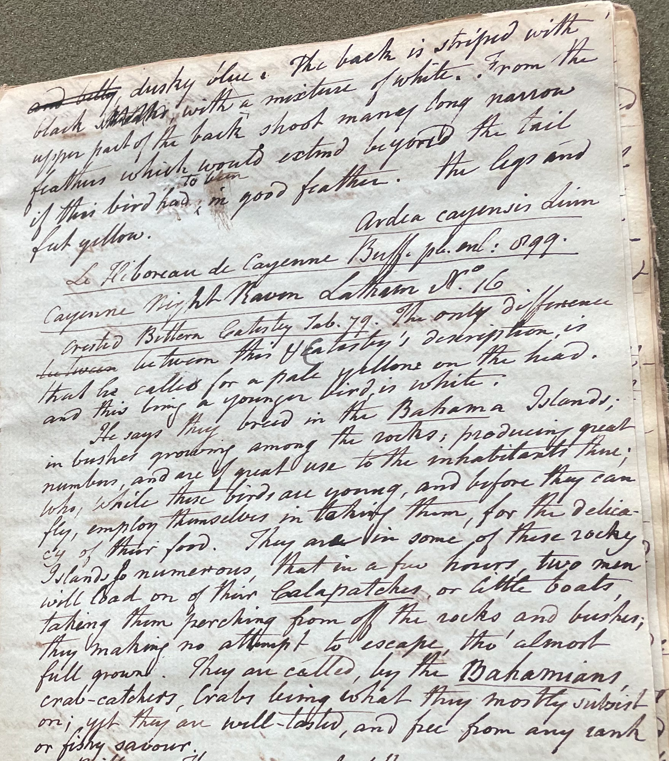 Lecture on Natural History 25