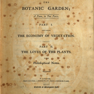 title page