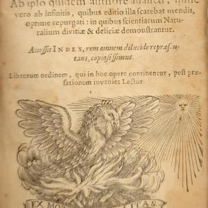 title page