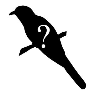 silhouette of cuckoo, with question mark