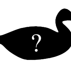 Silhouette of a duck, with question mark