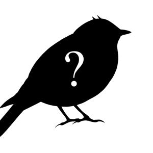 Bird silhouette, with question mark