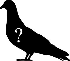 Silhouette of Dove