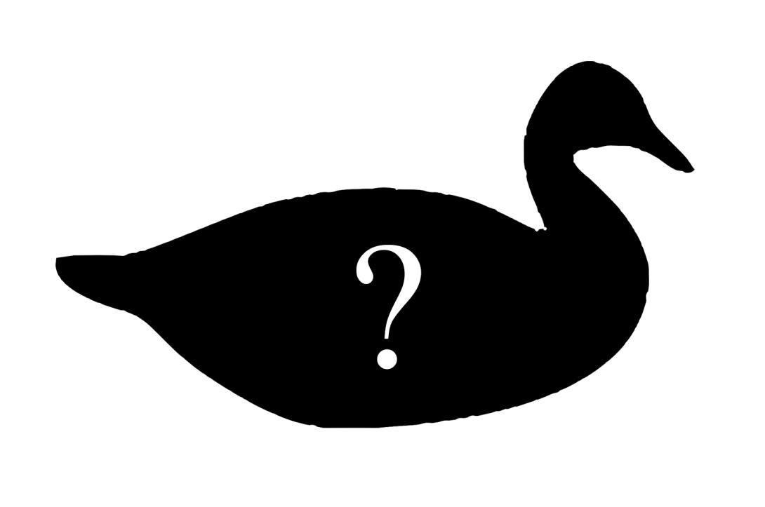 Silhouette of a duck, with question mark