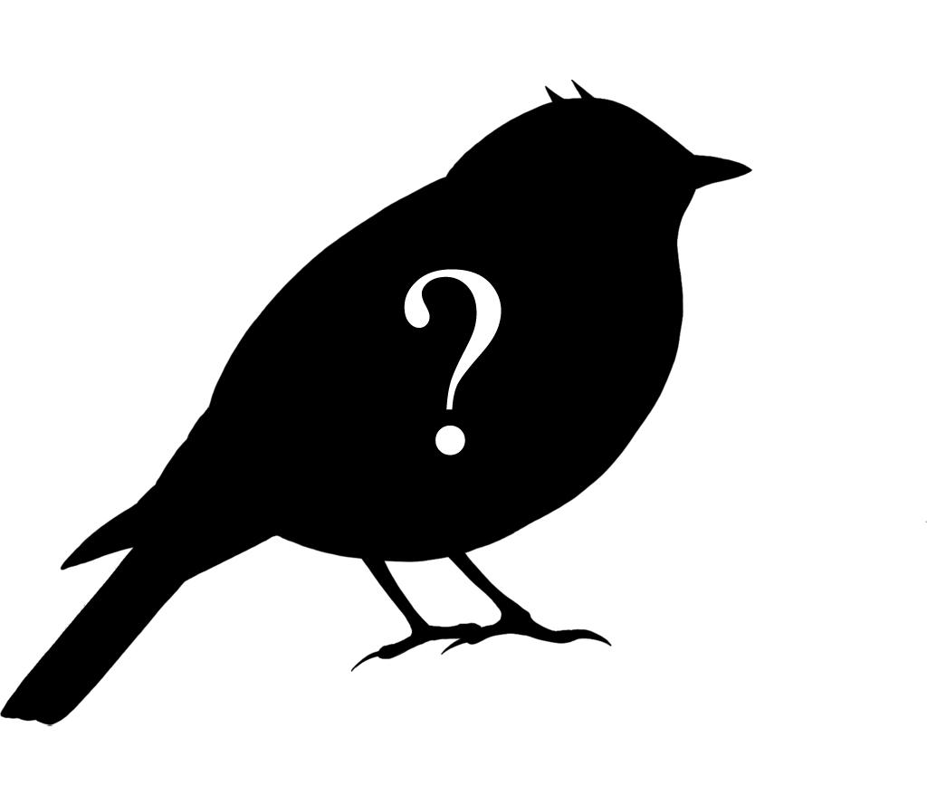 Silhouette of a bird, with question mark